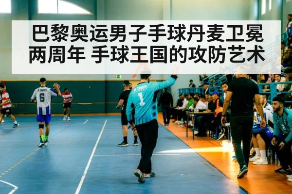 巴黎奥运男子手球丹麦卫冕两周年 手球王国的攻防艺术